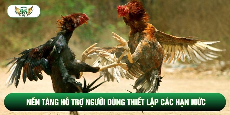 Nền tảng hỗ trợ người dùng thiết lập các hạn mức